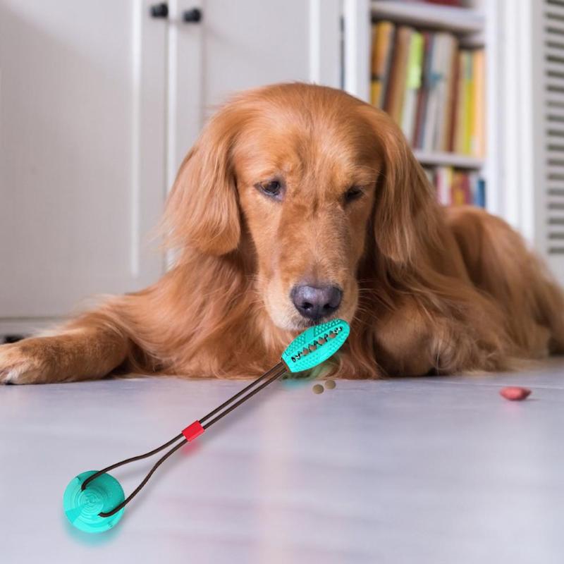 Hunde-Kaustab mit Saugnapf | Gummi | Zahnpflege & Training | 2 Formen