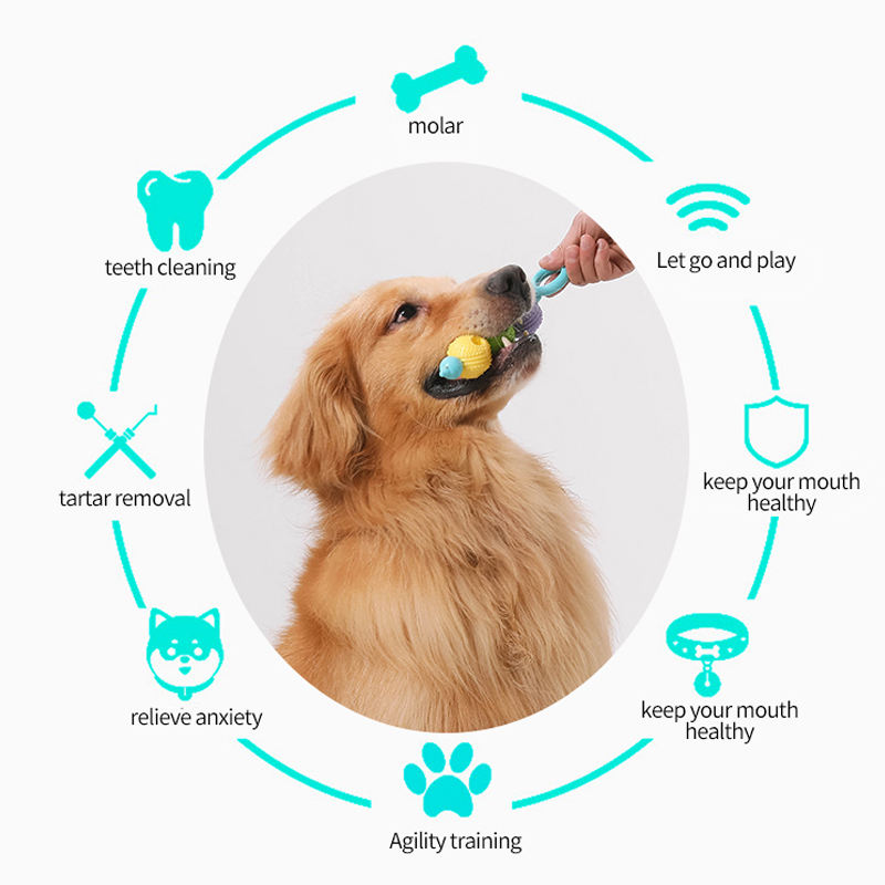 Hunde-Kaustab TPR Kürbis-Design | Zahnpflege & Massage | 3 Farbsets