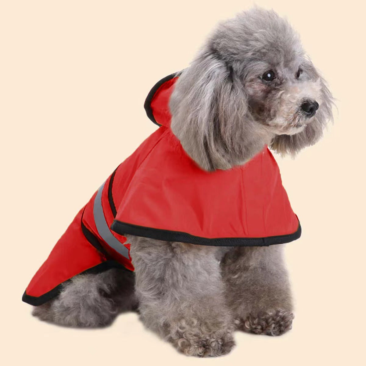 Reflektierender HundeRegenmantel – für kleine Hunde, S–4XL, 3 Farben