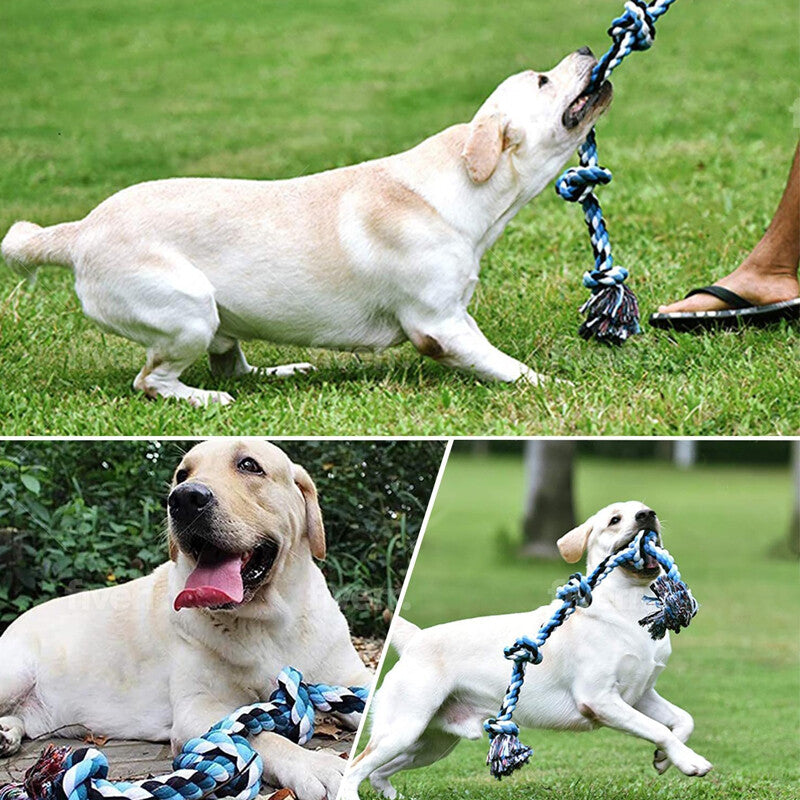 XXL Seilspielzeug für große Hunde – Tauziehen, Zahnpflege & 5 Knoten