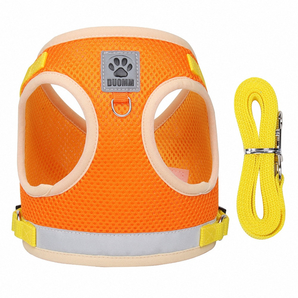 Hundegeschirr Weste mit Leine | Cord besticktes Design | 4 Farben | XS–XL