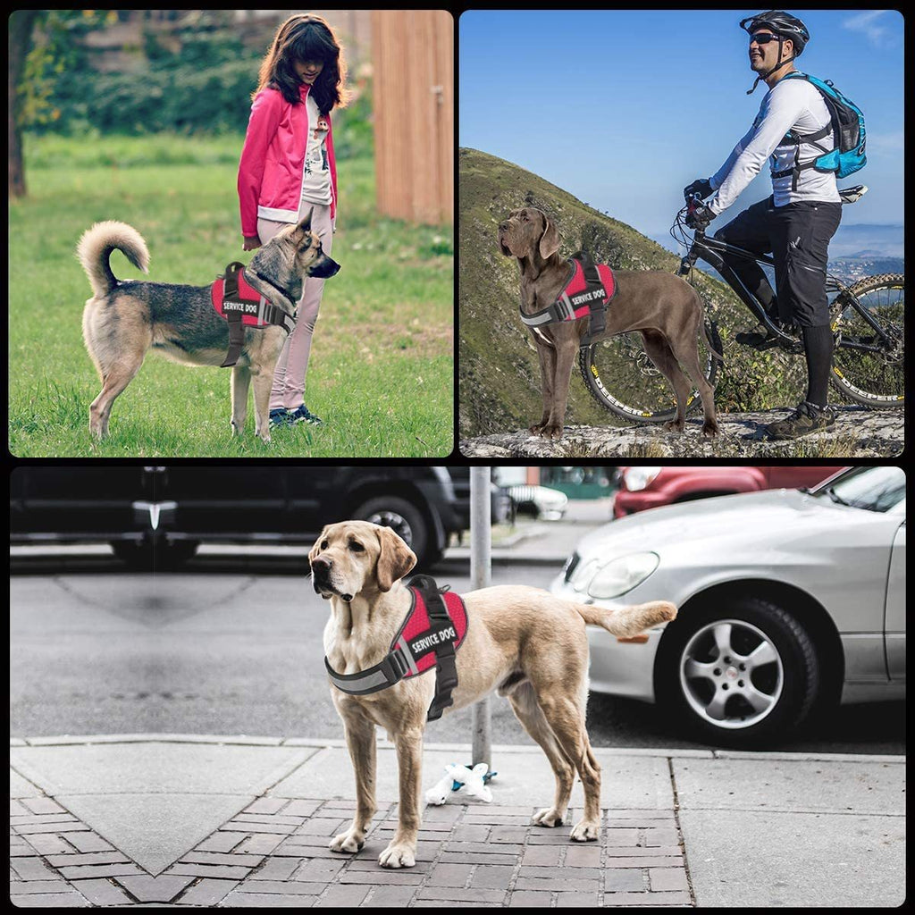 Reflektierendes Hundegeschirr im Unterhemd-Stil – dehnbar, mit Leine, XS–XXL