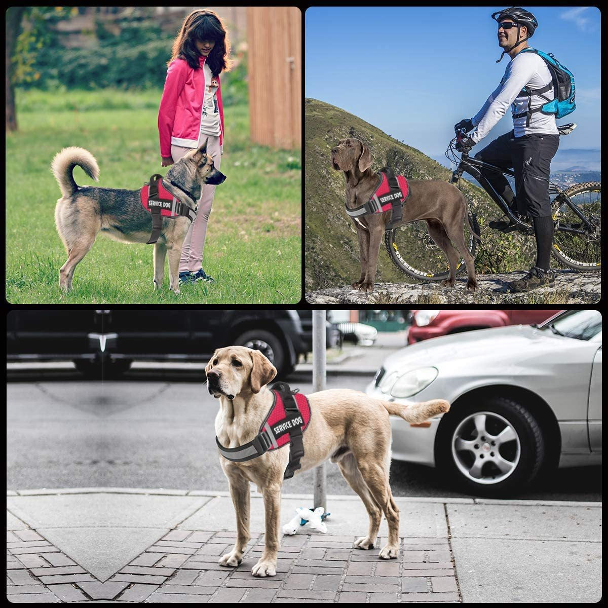 Reflektierendes Hundegeschirr im Unterhemd-Stil – dehnbar, mit Leine, XS–XXL