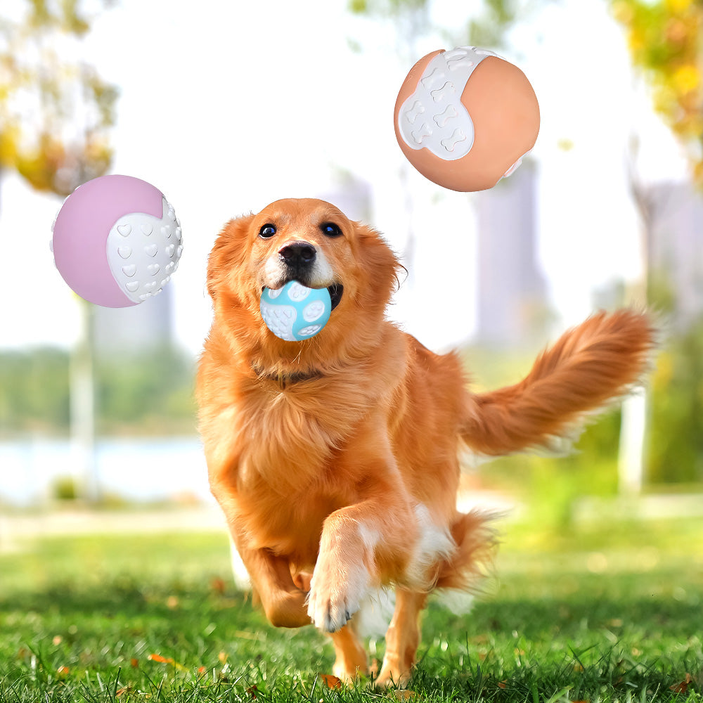 12er-Set Gummi-Spielbälle für Hunde – unzerstörbar, quietschend & schwimmfähig