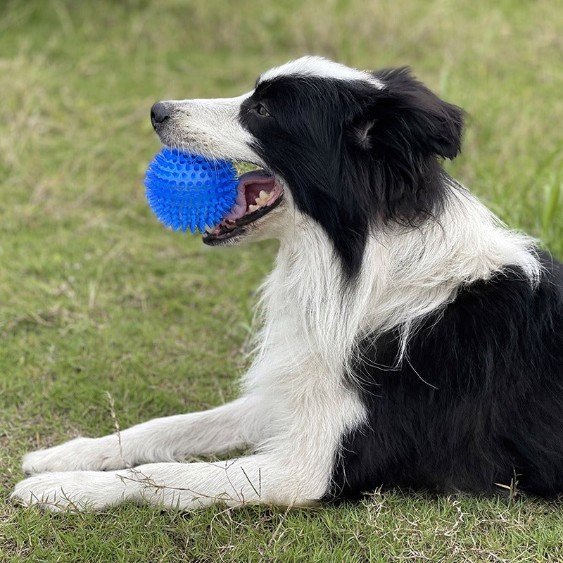 Noppen-Ball mit Sound fuer Hunde - TPR | 9 cm | Zahnpflege | 3 Farben | Fuer mittelgrosse Hunde