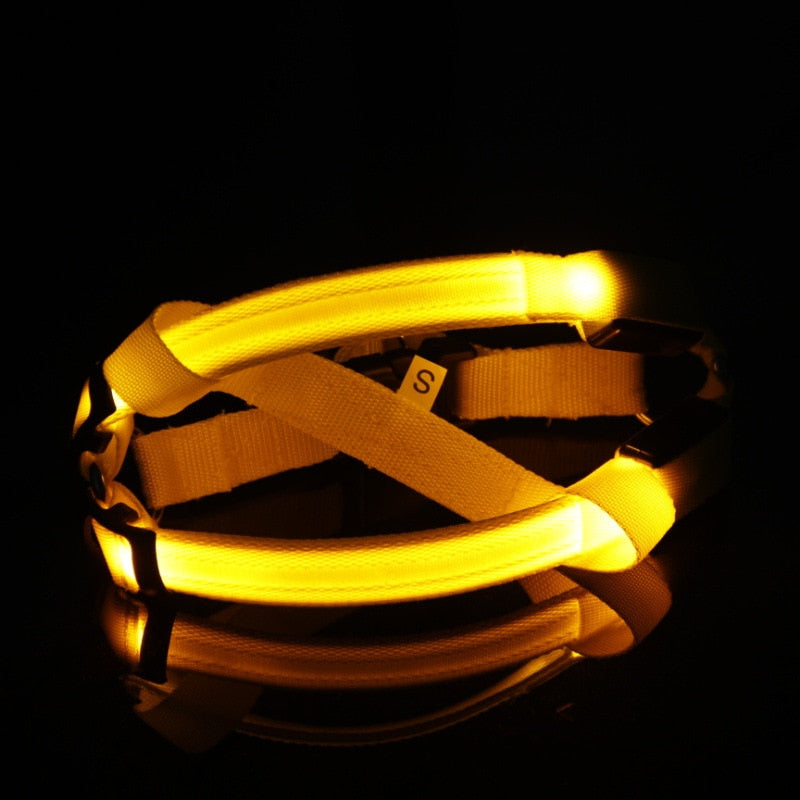 LED Hundegeschirr aus Nylon – Sicherheit bei Nacht, 3 Lichtmodi