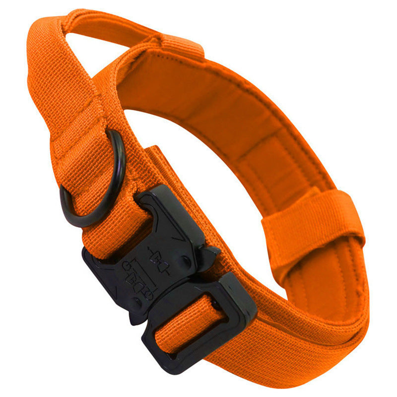 Taktisches Hundehalsband & Leine für Outdoor & Training – 8 Farben, M bis XL, auch als Set