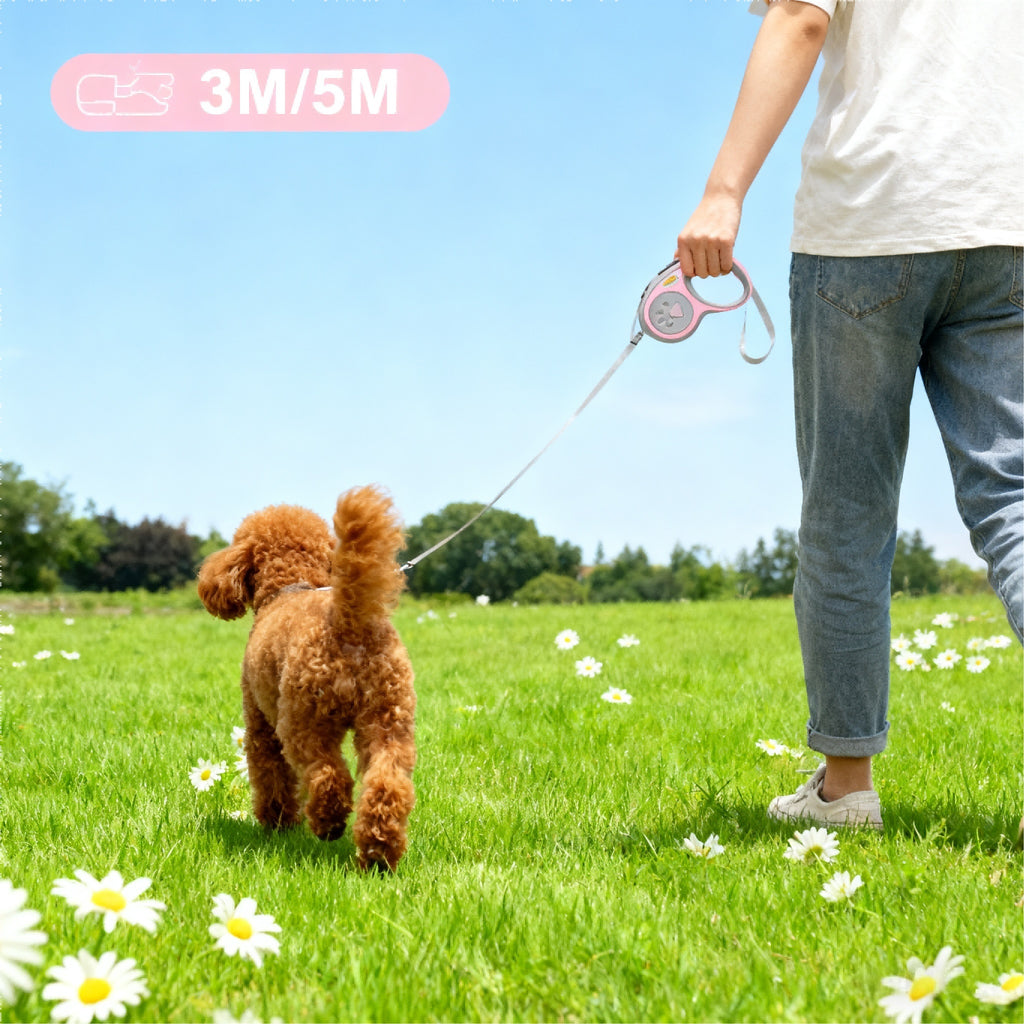 Einziehbare Hundeleine aus Nylon – 3m oder 5m, 360° knickfrei & Einhand-Bremse
