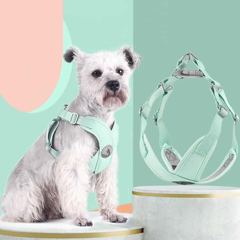 Hundegeschirr im Weste-Stil – Macaron-Farben, mit oder ohne Leine, XS–L