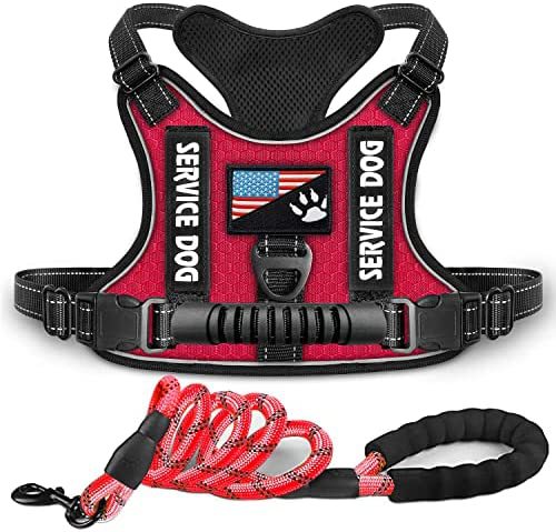 Hundegeschirr Weste – Stoßdämpfend & Komfortabel, Nylon, XS–XL