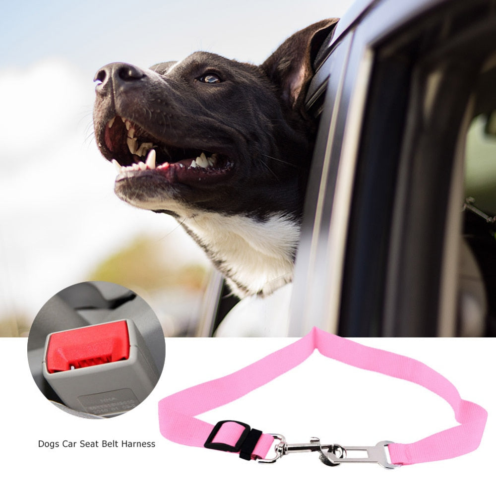 Hunde-Autosicherheitsgurt – verstellbar 43–70 cm, 4 Farben