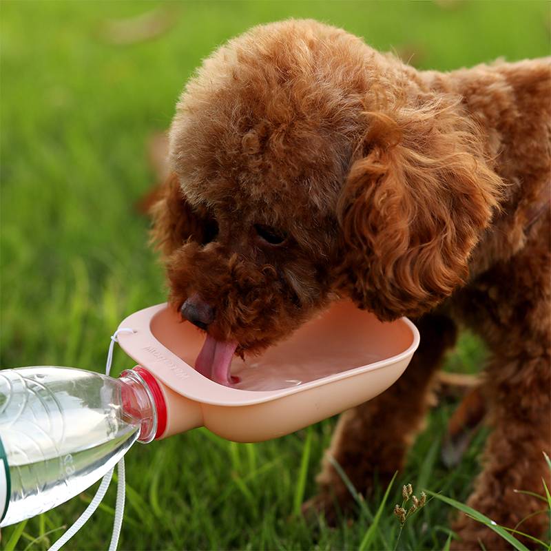 Portabler Trinkaufsatz für Hunde – Für Mineralwasserflaschen, 4 Farben