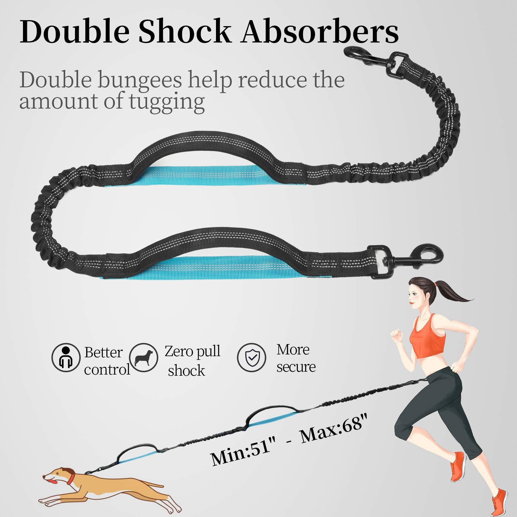 Hands-Free Hundeleine Nylon – Doppelgriff gepolstert, ideal für Joggen & Spaziergang, Schwarz