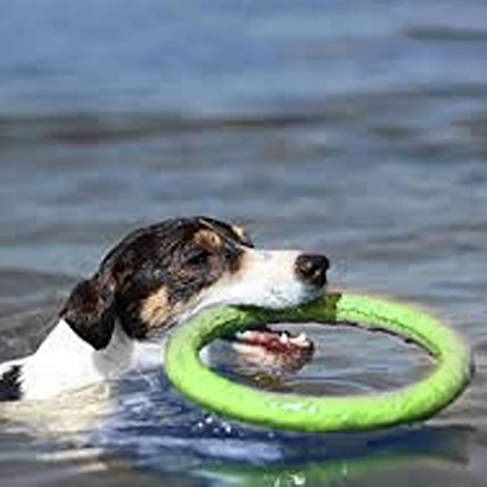 Hundefrisbee aus Gummi – Wurfscheibe für Outdoor-Training