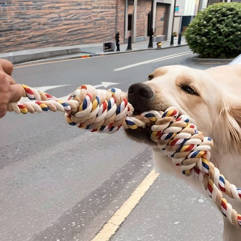 Großes Seilknoten-Spielzeug für Hunde – Zahnpflege & Tauziehen