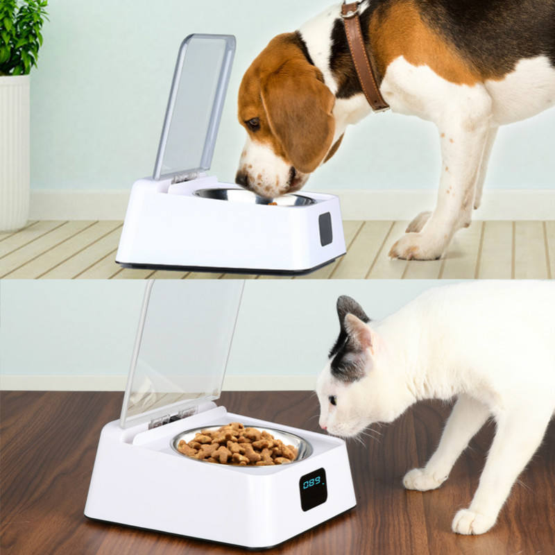 Automatischer Futterautomat – 5G, Akku, 350ml, Schutz vor Schädlingen & Feuchtigkeit