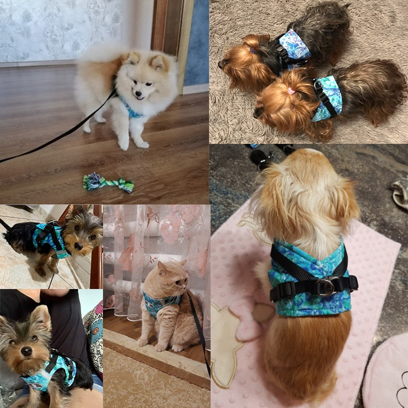 Hundegeschirr Weste Set mit Leine – Reflektierend, Weich, Verstellbar, XS–XL