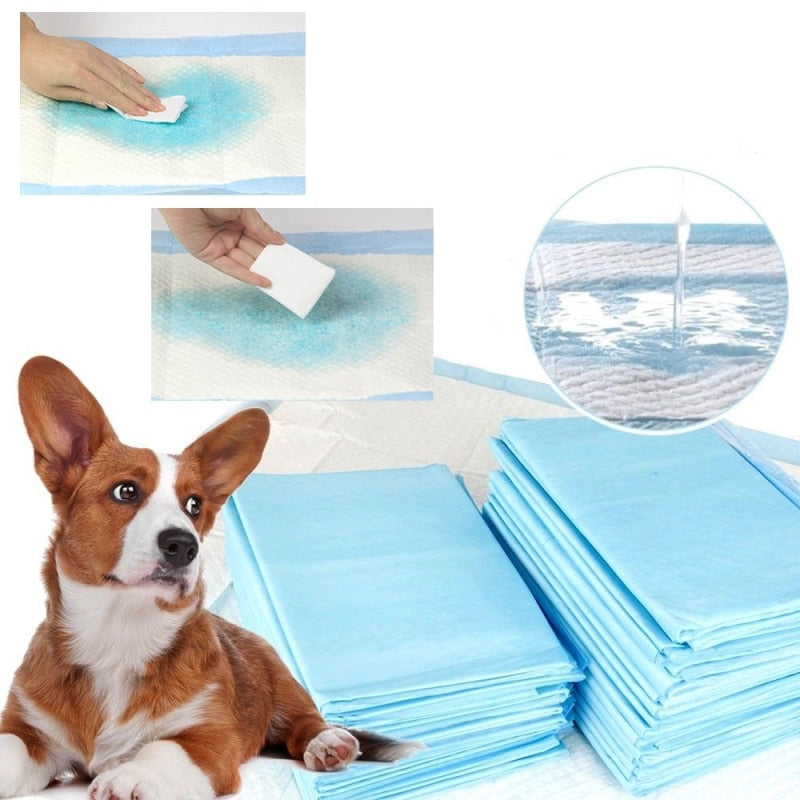Hunde-Trainingsunterlagen – Saugfähig & antibakteriell | 50 oder 100 Stück | S & M