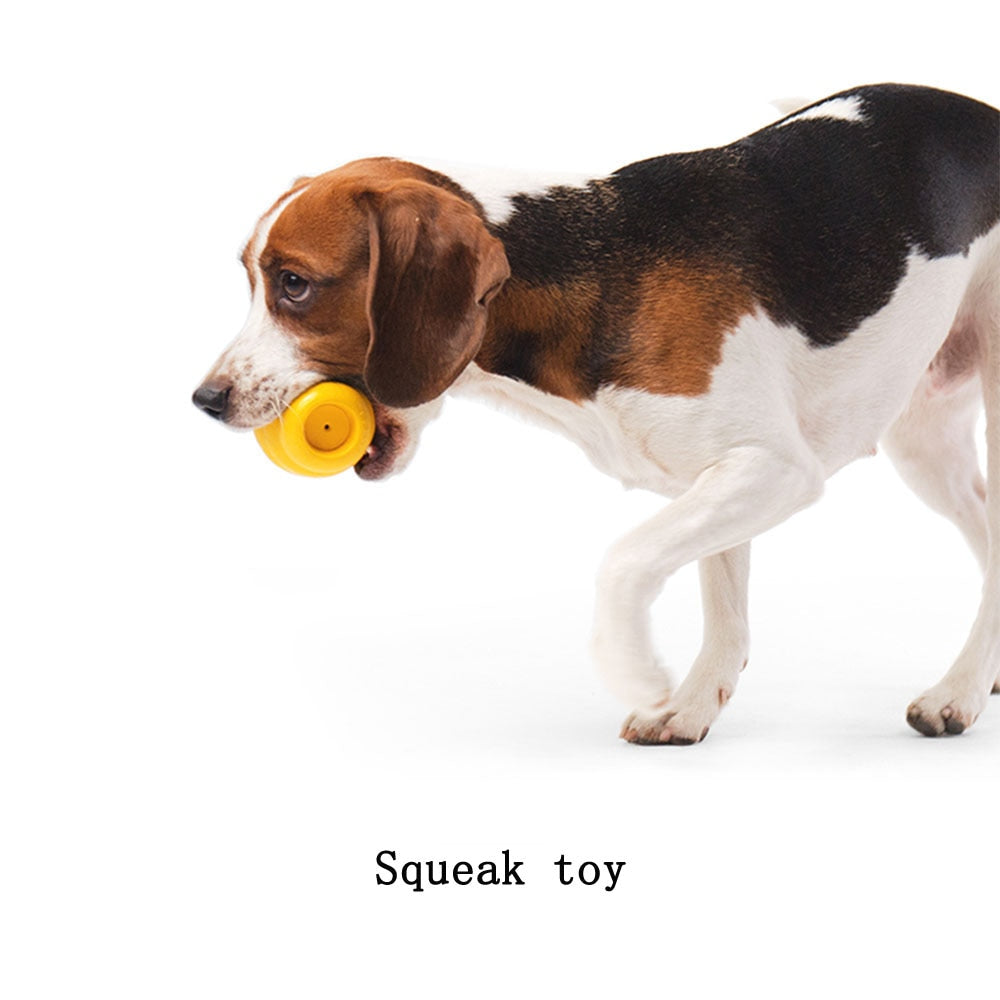 PETKIT Hundespielzeug-Ball – Quietschball, Kauball oder Snackball, Gummi, 65×65×120mm