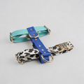 Hundegeschirr "Blueberry" – leicht, schnelltrocknend, goldene Akzente, XS–L