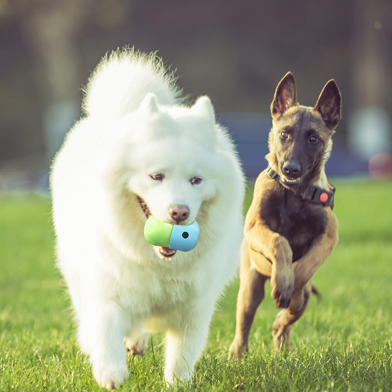2-in-1 Silikon Futterball & Kauspielzeug für Hunde