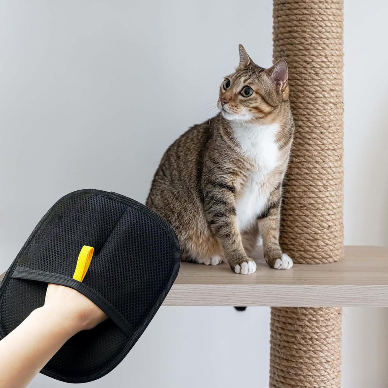 Elektrostatische Fellentfernungs-Handschuhe für Hunde & Katzen – beidseitig & haftend