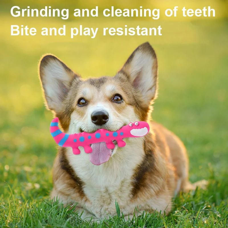 Latex-Eidechse Quietschspielzeug für Hunde – Interaktives Kauspielzeug für kleine & mittelgroße Hunde