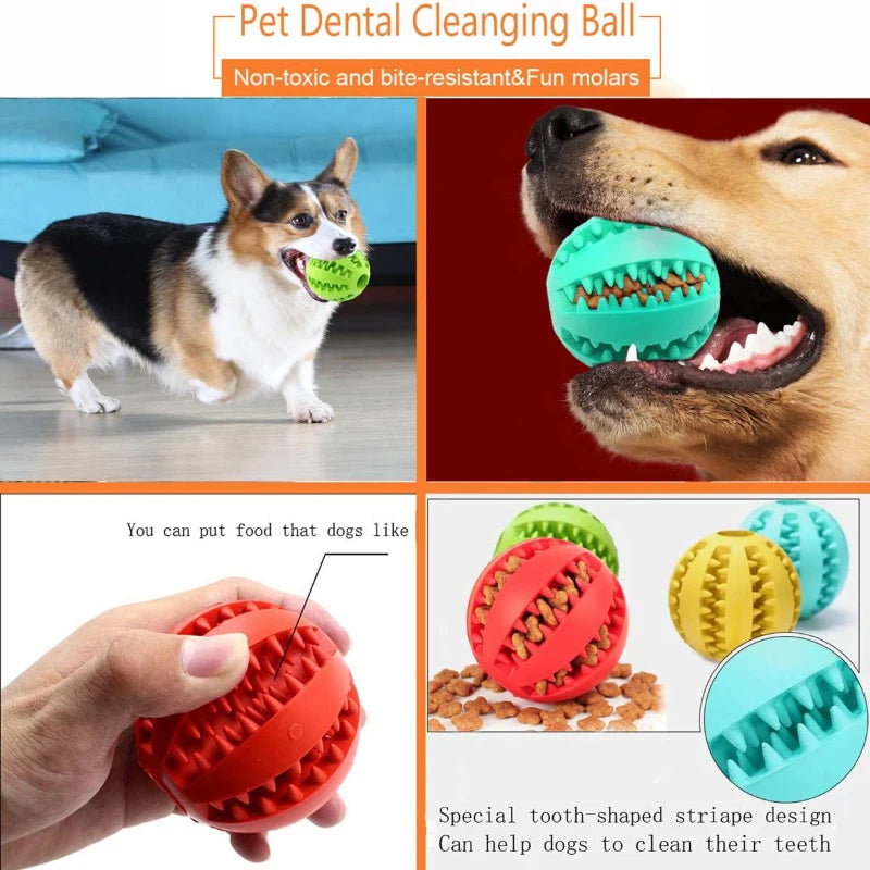 Interaktiver Kauball für Hunde – Zahnreinigung & Snackspender, 6 Farben, 5 & 7cm
