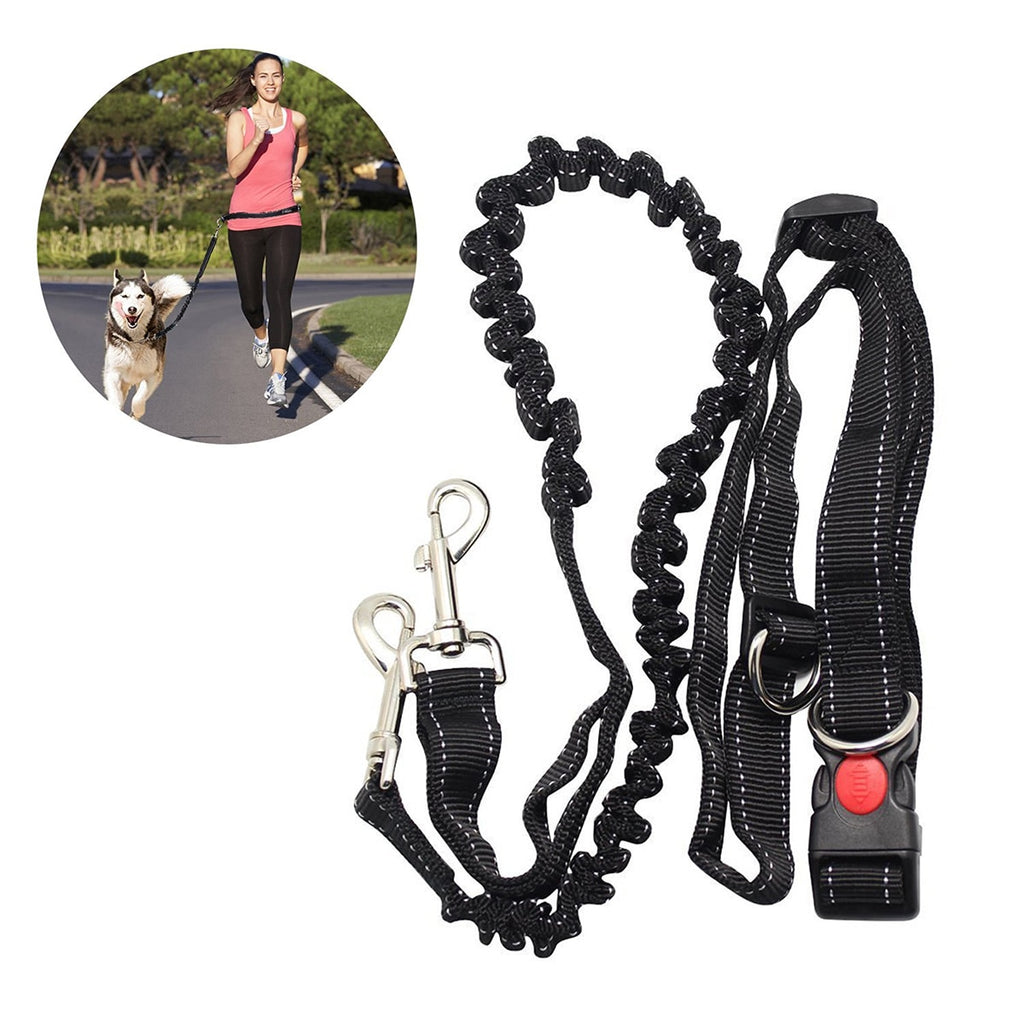Freihändige Hundeleine – Hüftgürtel für Joggen & Spaziergang