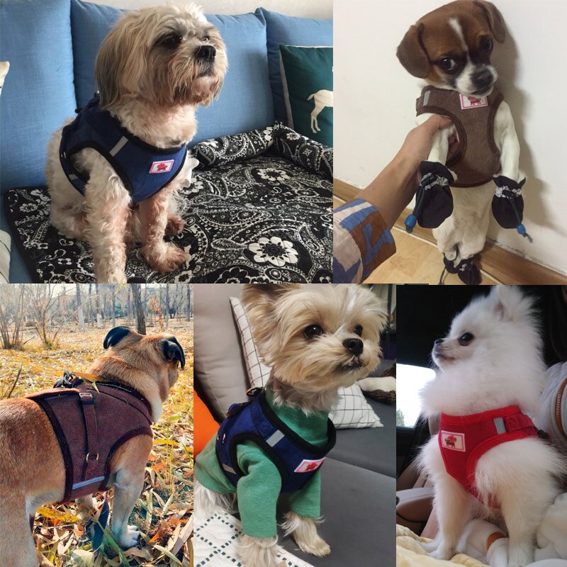 Reflektierendes Hundegeschirr-Set im Weste-Stil – atmungsaktiv, verstellbar, XS–XL