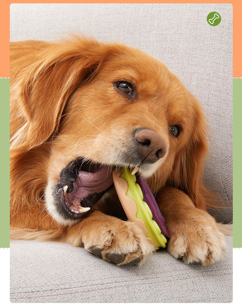 Donut Kauspielzeug für Hunde – Bissfest & Zahnpflege