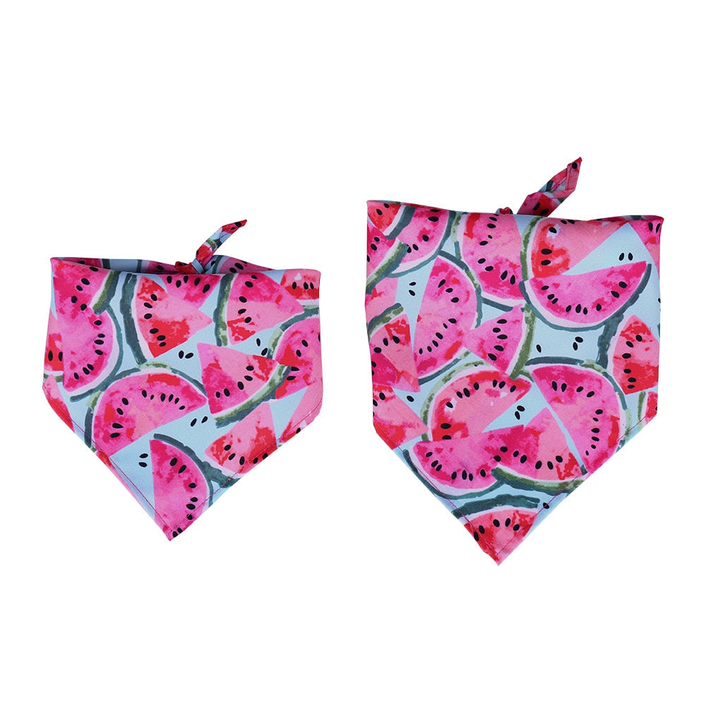 Hunde-Bandana mit Frucht-Motiv – Baumwolle, 6 Designs, 2 Größen