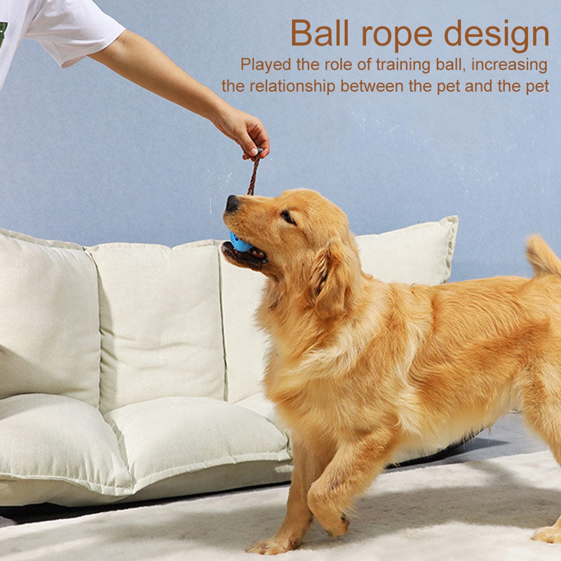 Hunde-Leckerli-Ball aus TPR | Bissfest | Zahnpflege | 5 Farben