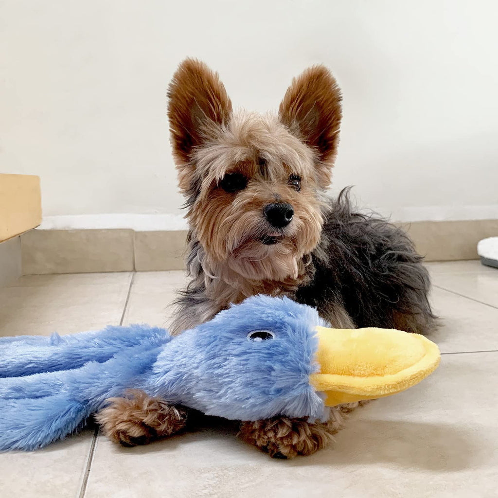 Plüsch-Ente Hundespielzeug – Quietscher & Kauspielzeug | 20 cm (8 Zoll)