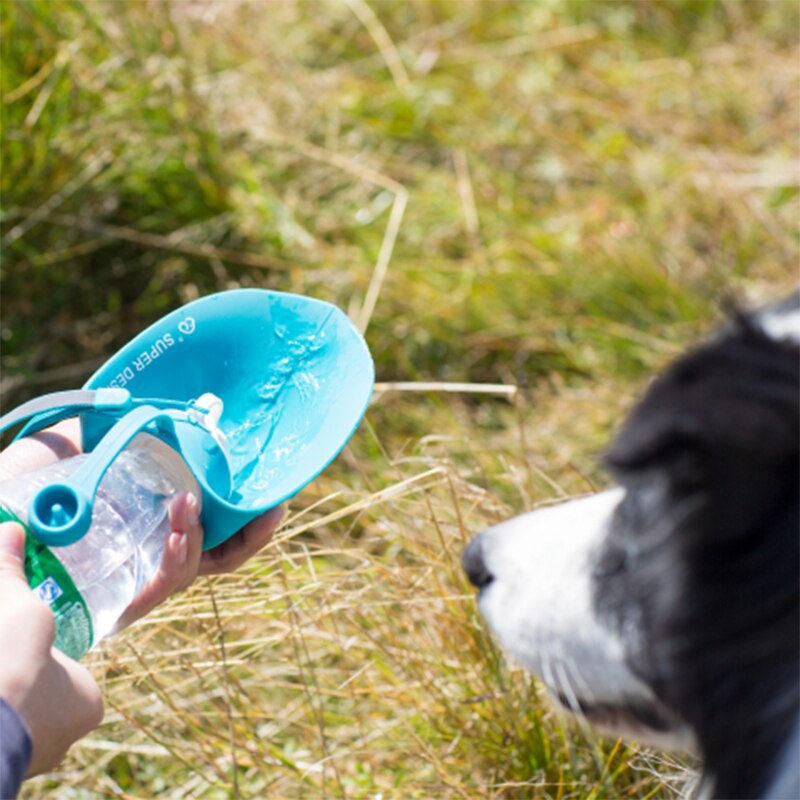 Tragbare Hundetrinkflasche 580ml – Silikon-Reisenapf mit Blattdesign für unterwegs