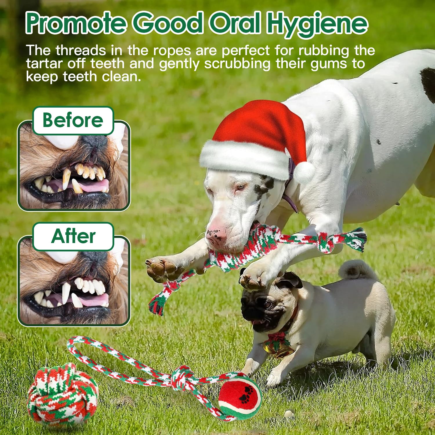 5er-Set Weihnachts-Seilspielzeug für Hunde – Kauen, Tauziehen & Zahnpflege