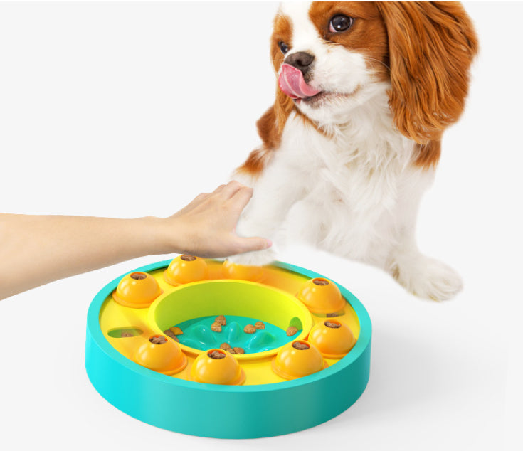 Interaktives Hunde-Intelligenzspielzeug mit Slow Feeder & Roulette – Grün / Blau