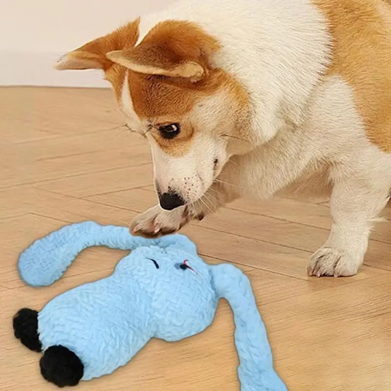 Hase Plüsch-Quietschspielzeug für Hunde – Weiches Kauspielzeug für Welpen & kleine Hunde