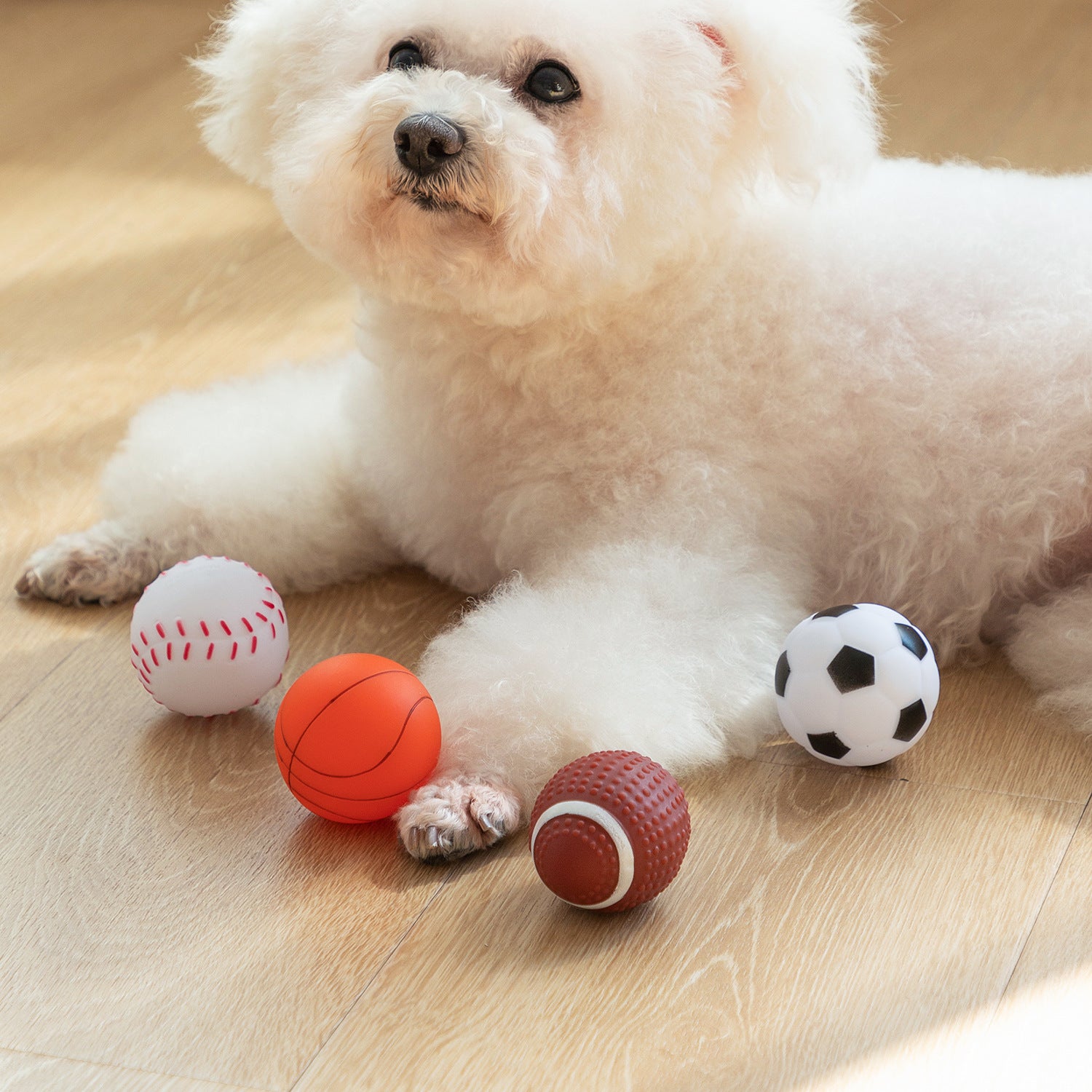 Sport-Quietschbälle für Hunde – Latex-Wurfspielzeug Basketball, Fußball, Tennis & Rugby