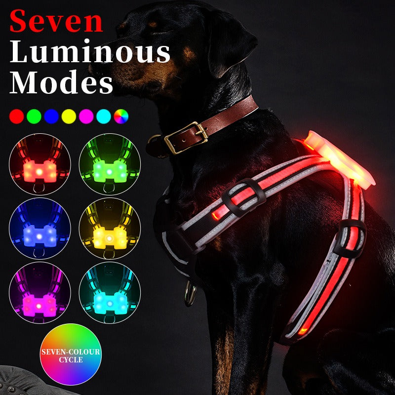 LED Hundegeschirr – 7 Farbwechsel, Leuchtend für Nachtspaziergänge, S–XXL