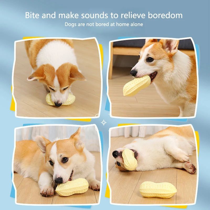 Elastisches Vinyl-Quietschspielzeug für kleine Hunde – Zahnpflege & Anti-Langeweile