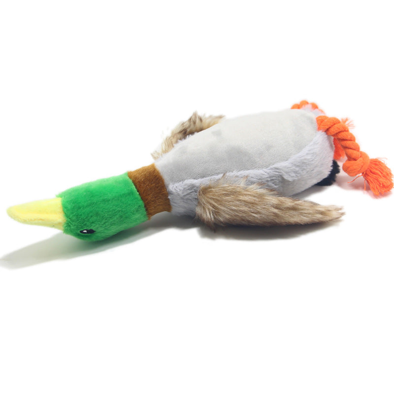 Plüsch-Ente für Hunde – 28 cm, Quietscher & Knisterpapier