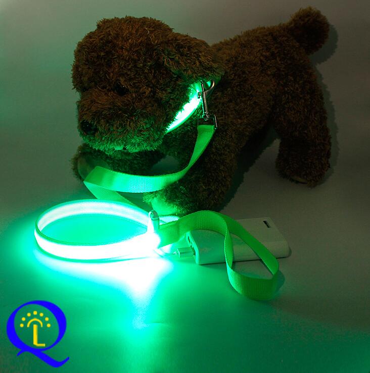 LED-Hundeleine mit Doppelfaser-Licht - Nylon | 6 Farben | 3 Leuchtmodi | Sicher bei Nacht