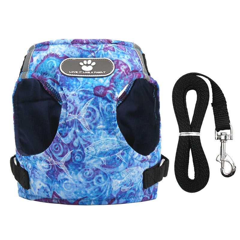 Hundegeschirr Weste Set mit Leine – Reflektierend, Weich, Verstellbar, XS–XL