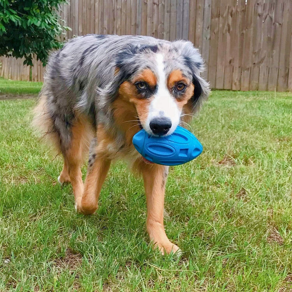 Quietscher-Kauball aus Naturkautschuk für Hunde – Robust & Langlebig | Blau / Grün / Orange