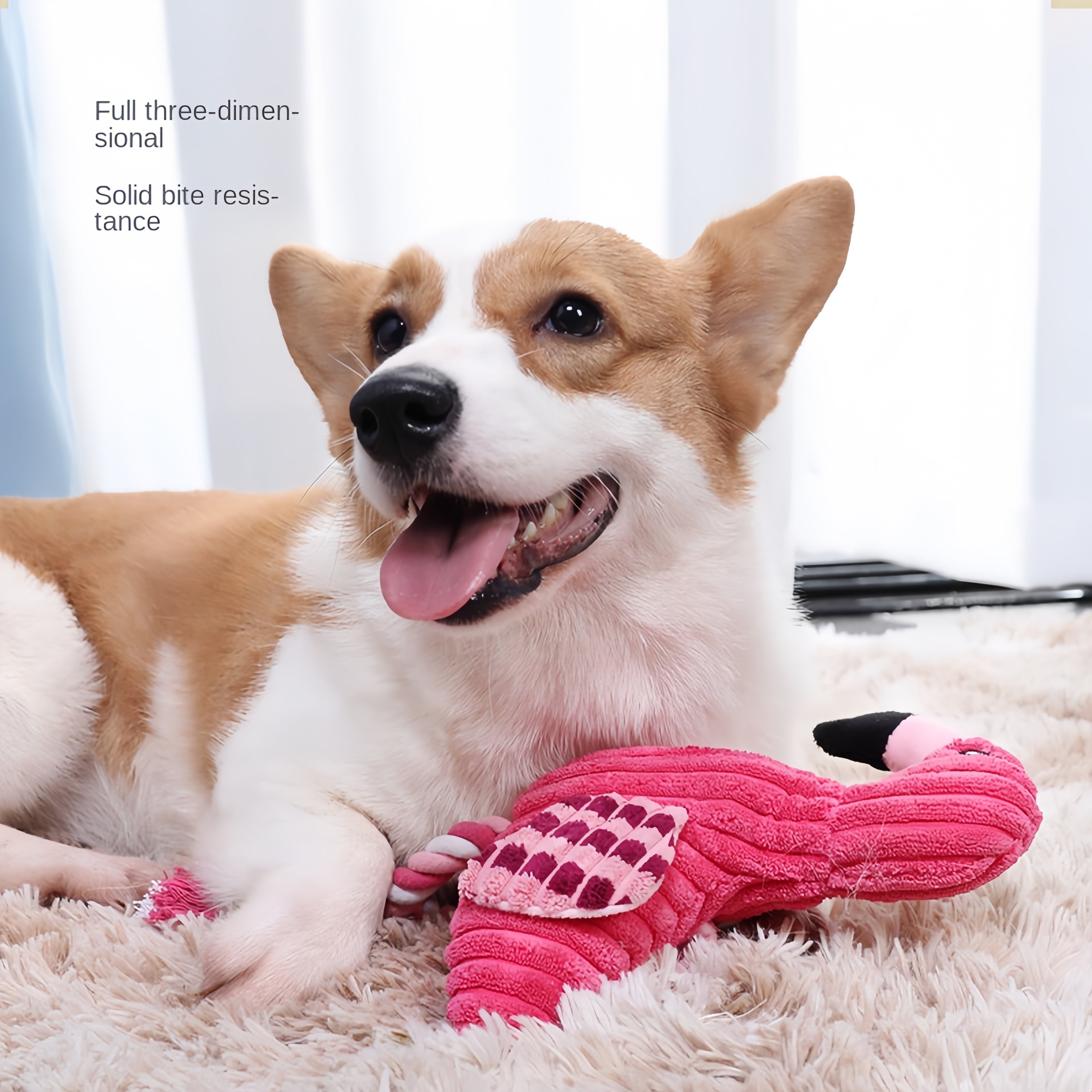 Süßes Cord-Plüschtier für Hunde – Quietscher & bissfest