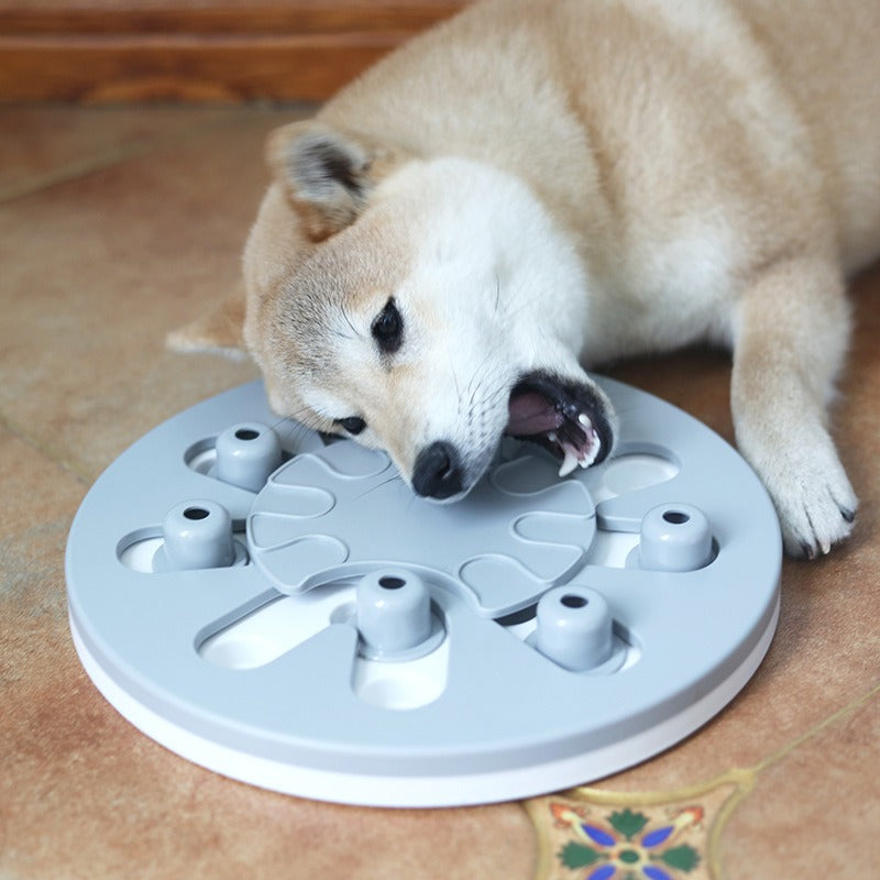 Intelligenzspielzeug fuer Hunde - Schnueffelnapf und Slow-Feeder | ABS | 3 Farben | 28x28 cm