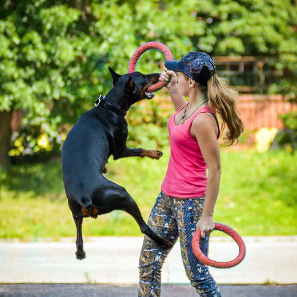 Hundefrisbee aus Gummi – Wurfscheibe für Outdoor-Training