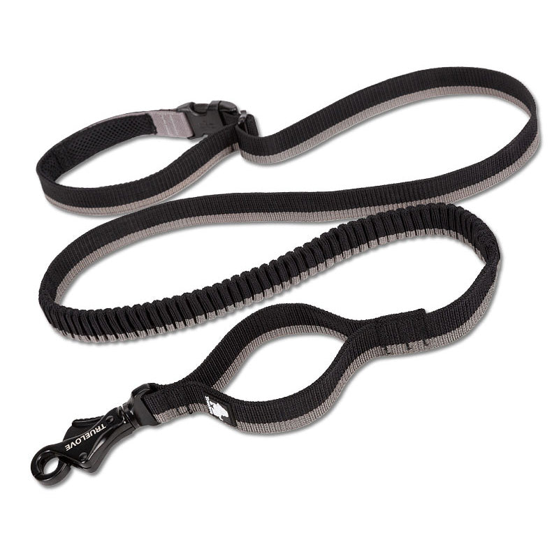 Elastische Hundeleine mit Puffer – Jogging & Hüftleine, 4 Farben, M (140–200 cm) / L (200–340 cm)