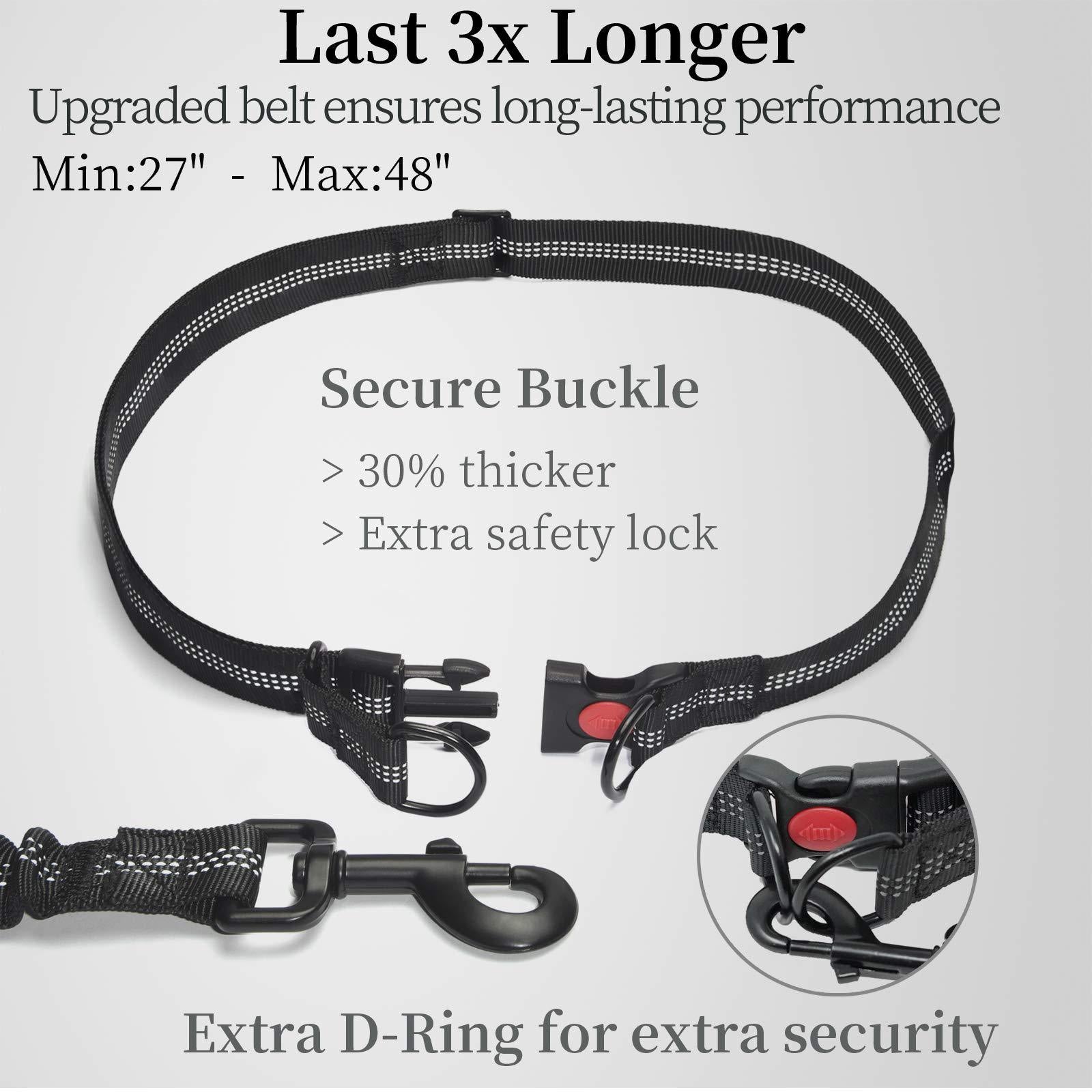 Hands-Free Hundeleine Nylon – Doppelgriff gepolstert, ideal für Joggen & Spaziergang, Schwarz